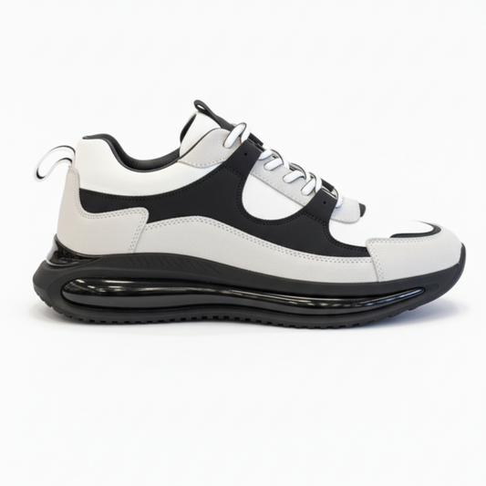 https://cdn.shopify.com/s/files/1/0972/2979/9709/files/10982.png?v=1768895457