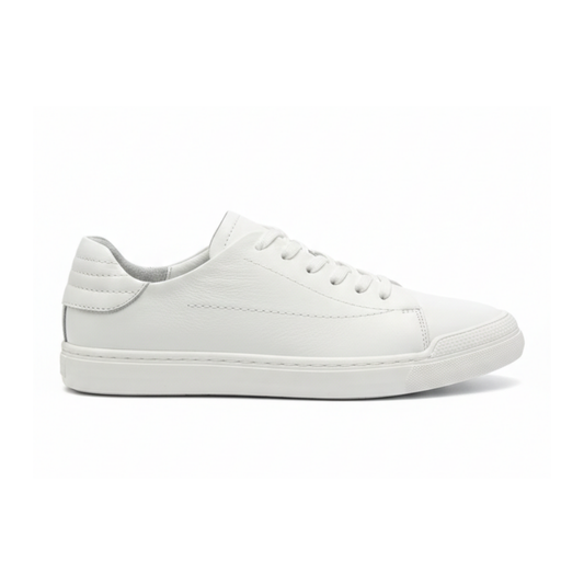 https://cdn.shopify.com/s/files/1/0972/2979/9709/files/1_0406bb54-f05b-407f-b82f-6876aee9c691.png?v=1768897498