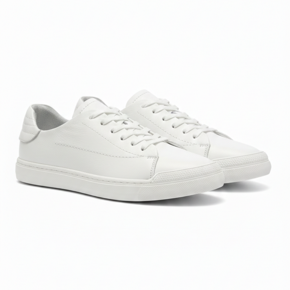 https://cdn.shopify.com/s/files/1/0972/2979/9709/files/2_f21b6fb3-109c-40ca-837d-87b128084e1d.png?v=1768897662