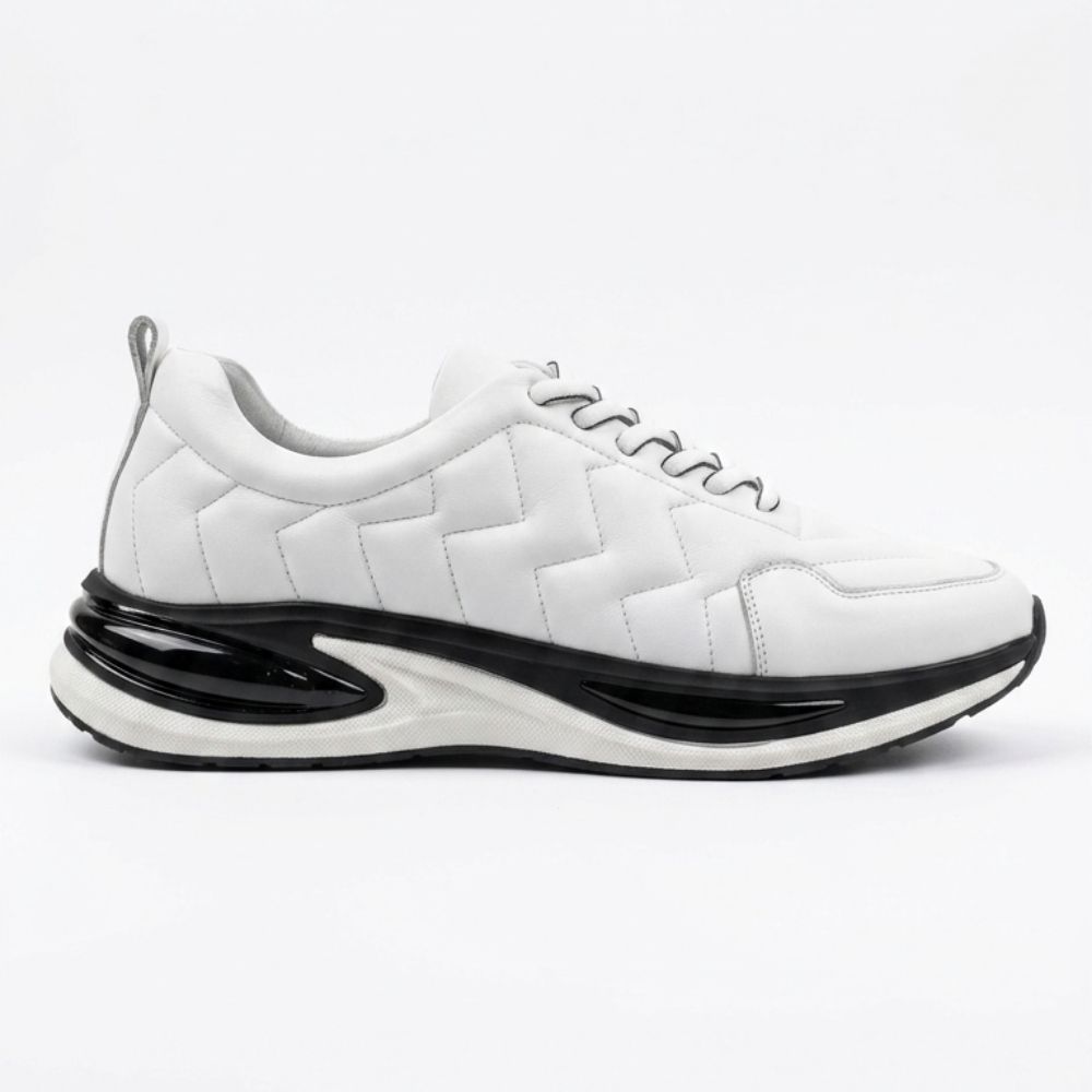 https://cdn.shopify.com/s/files/1/0972/2979/9709/files/WhatsApp_Image_2026-04-14_at_09.25.58_3_f5c46da6-b327-498d-bc13-7346e31b7bda.jpg?v=1776150662