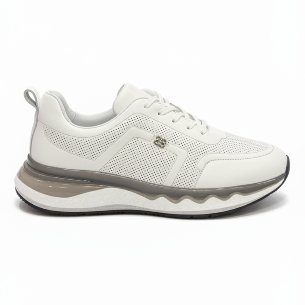 https://cdn.shopify.com/s/files/1/0972/2979/9709/files/ageghweergdegdfbdfbdvbdfv_ed8ebd89-8a99-47ff-ac32-2e2e8bd33123.png?v=1769684188