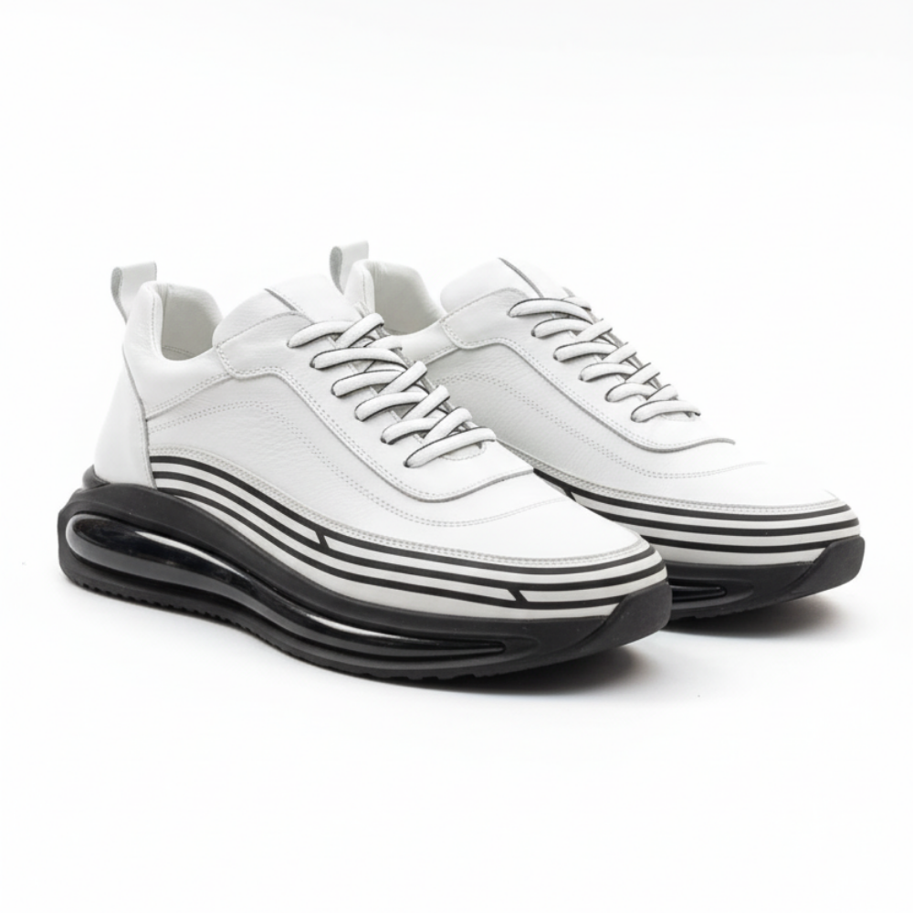 https://cdn.shopify.com/s/files/1/0972/2979/9709/files/as65fasfas54f2as0f.png?v=1768892948