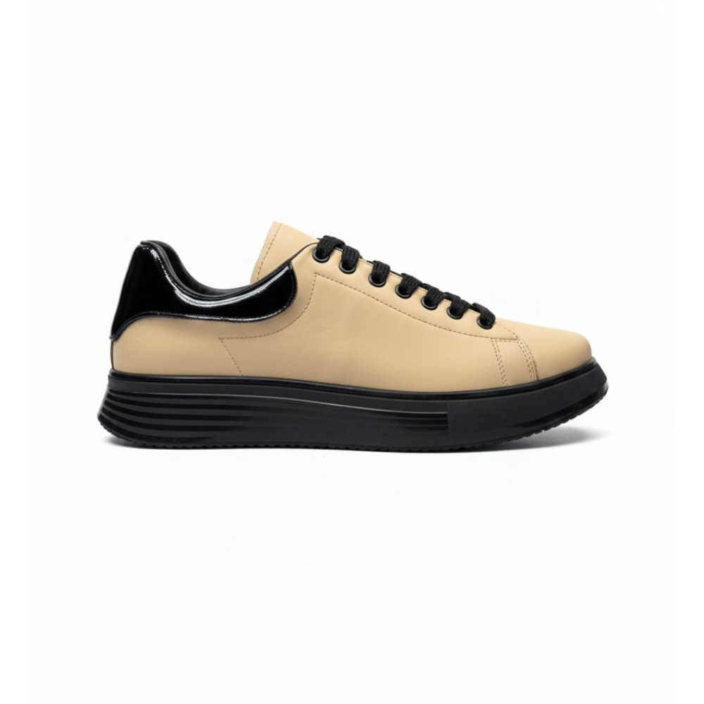 https://cdn.shopify.com/s/files/1/0972/2979/9709/files/sdg8sd5g10.png?v=1776771421